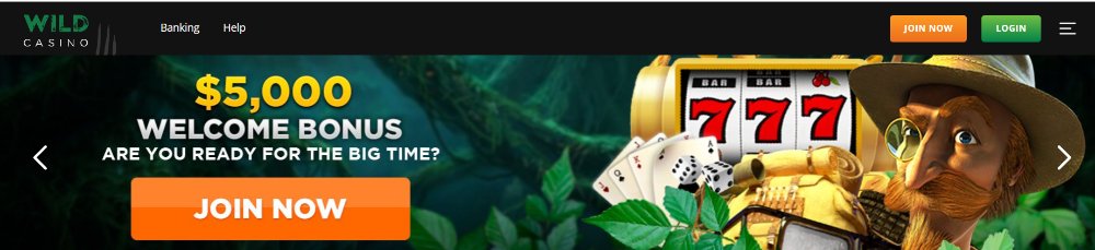 Proof That online casino Is Exactly What You Are Looking For